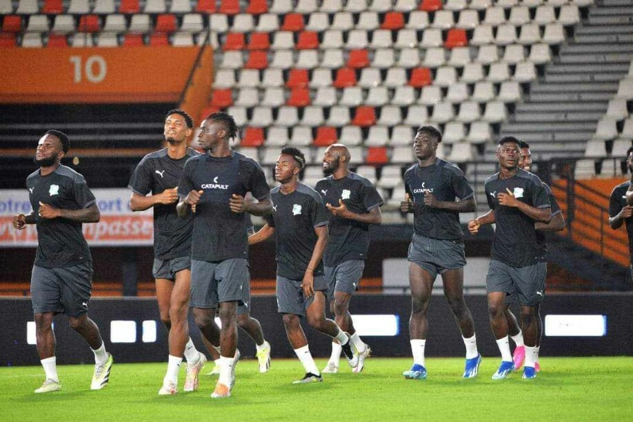 Elephants training 2